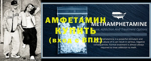 шишки Богородицк